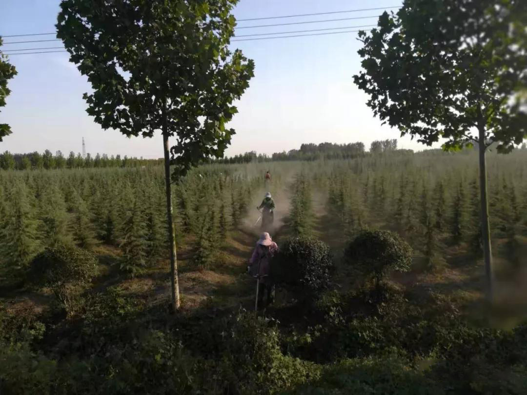 尊龙凯时(中国)人生就是搏! 官网