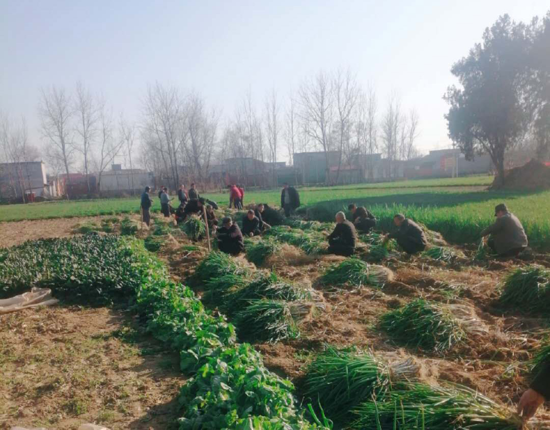 尊龙凯时(中国)人生就是搏! 官网